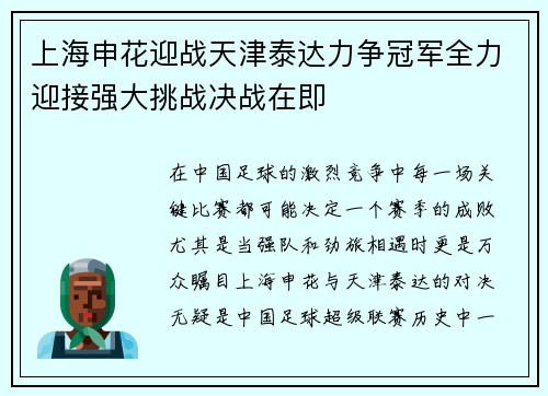 上海申花迎战天津泰达力争冠军全力迎接强大挑战决战在即